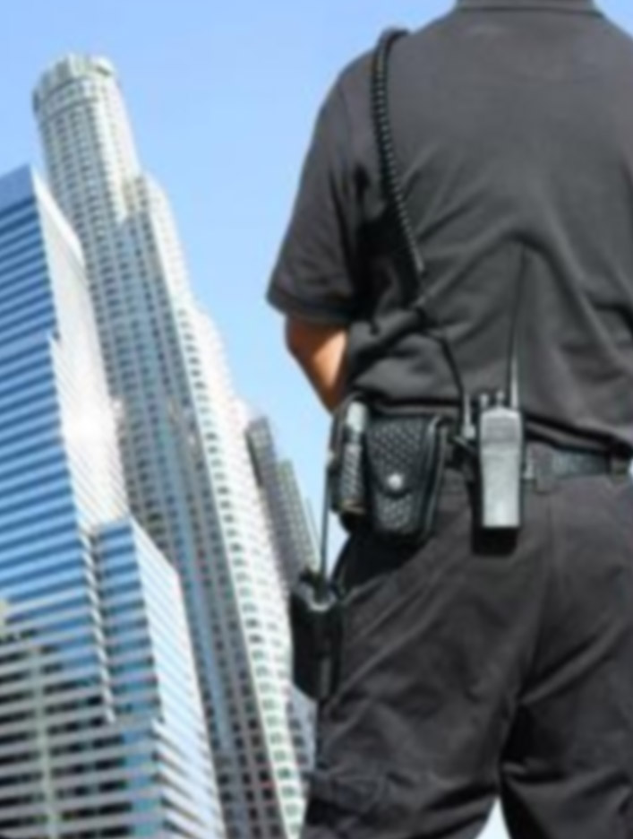 Vigilância e segurança